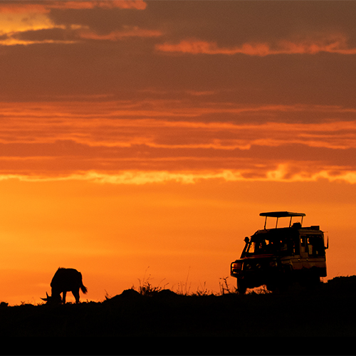 Web banner of African night sunset safari game drive with room for text in open sky